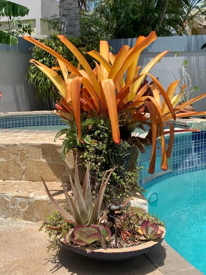 Gorgeous Place Pool And Patio Villa Santa Isabel Porto Rico